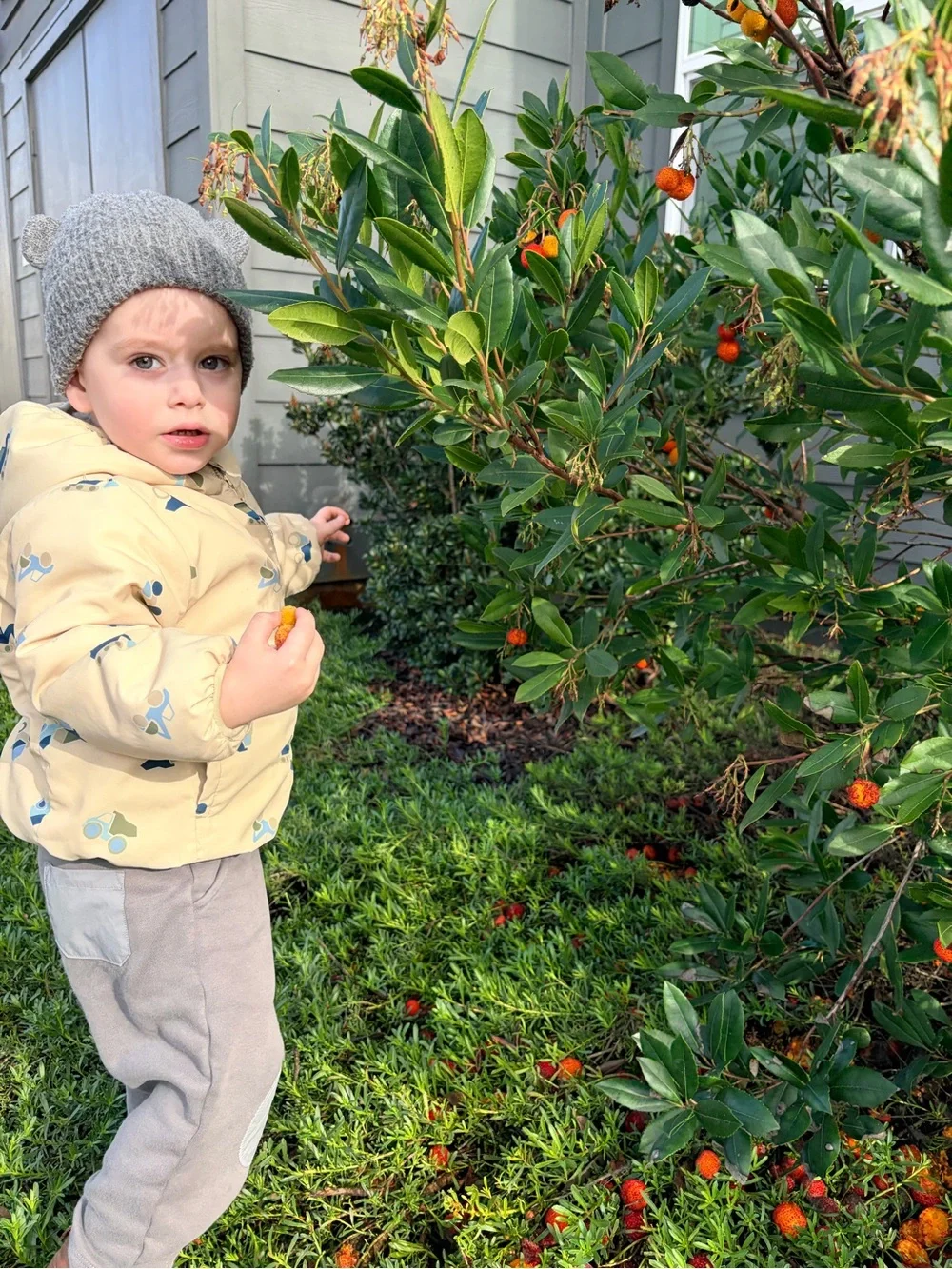 Toddler Hat Set